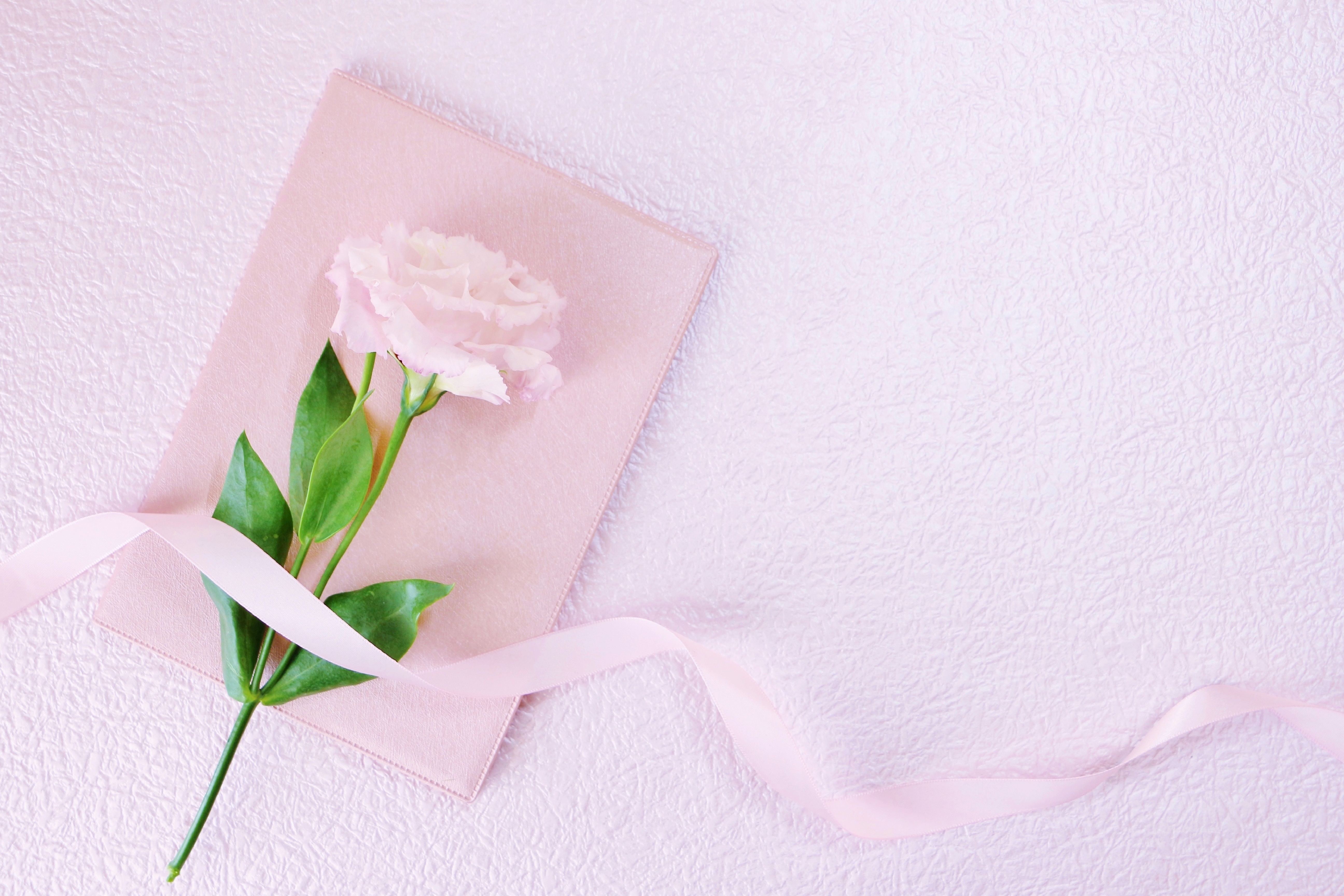 プレゼント画像